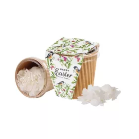 Kokosové chipsy v ekologickom obale 20 g